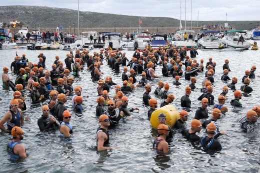 Nadadores al agua en la pasada edición