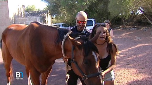 Imagen de uno de los caballos recuperados (Foto: IB3 Televisió)