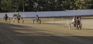 Momento de la prueba de "mini trot".