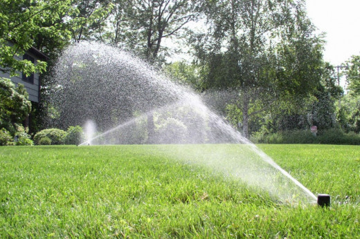 Si se riega a pleno sol se desaprovecha agua que se evapora por el calor.