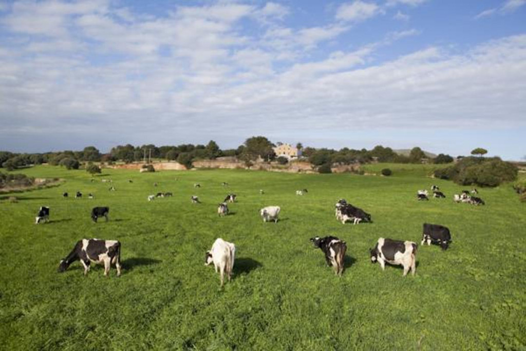 Menorca amplía la Reserva de la Biosfera.