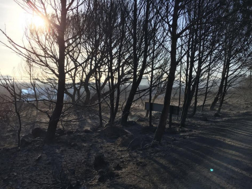 Imagen de una de las zonas devastadas por el fuego (Foto y video, German Sintes.)