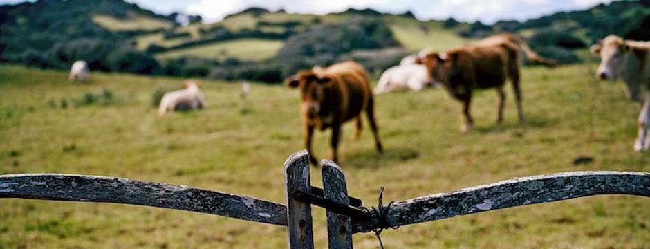 Se celebran 25 años de la declaración de Menorca como Reserva de la Biosfera