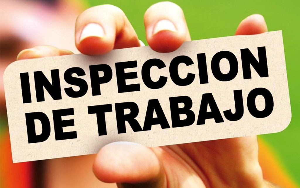 Inspección.