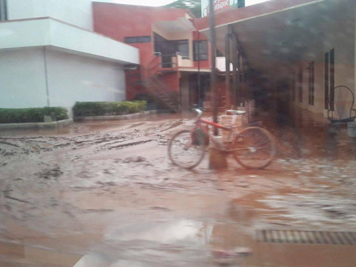 (Testimonio y fotos) Los efectos del huracán Otto en Costa Rica a través de los ojos de una menorquina