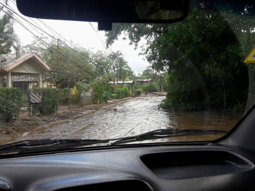 (Testimonio y fotos) Los efectos del huracán Otto en Costa Rica a través de los ojos de una menorquina