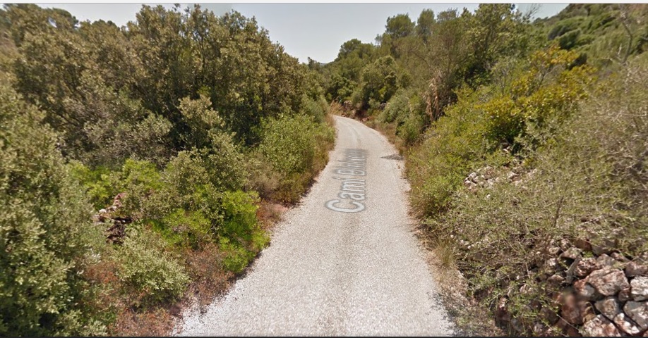 Imagen de un tramo del Camí de Binixems en Google Maps.