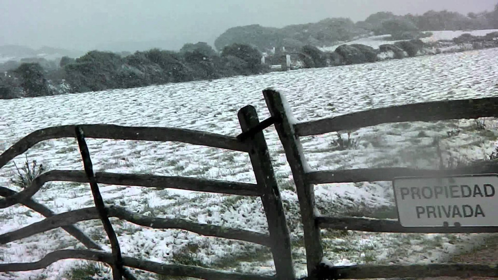 Imagen de un campo de Menorca totalmente nevado (Foto: youtube.com)