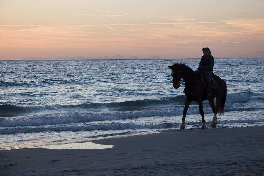 Las excursiones a caballo forman parte de esta oferta turística