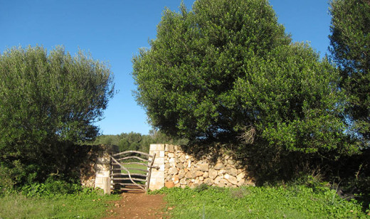 Los pequeños productores agroalimentarios de Menorca reducirían sus gastos