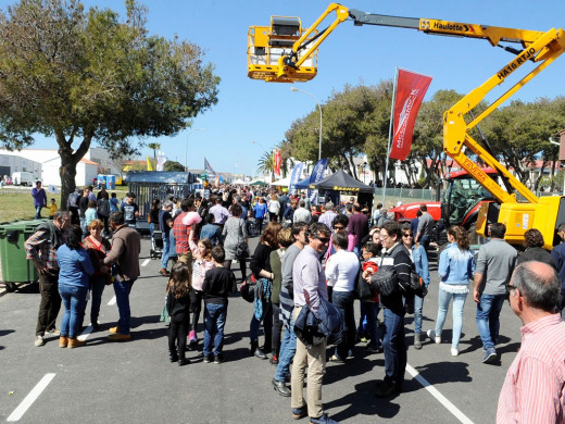 (Fotos) Espectacular triunfo de Binillubet en la Fira del Camp