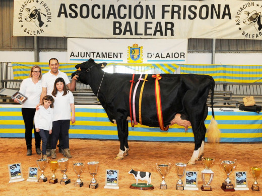 (Fotos) Espectacular triunfo de Binillubet en la Fira del Camp