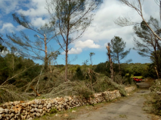 Hasta tres ‘caps de fibló’ causaron daños en la costa sur de Ciutadella