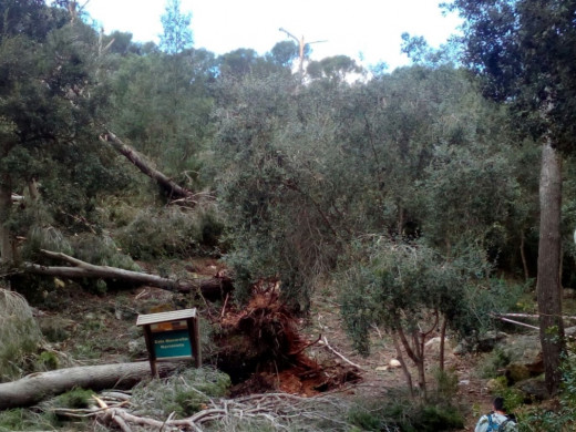 Hasta tres ‘caps de fibló’ causaron daños en la costa sur de Ciutadella