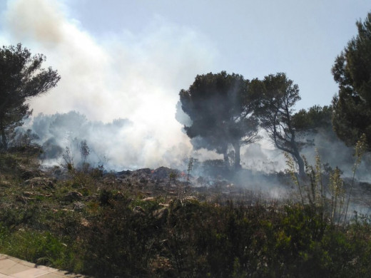 El primer gran incendio de la temporada quema 8.000m2 de pinar en Coves Noves