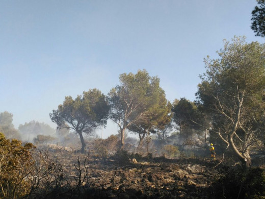 El primer gran incendio de la temporada quema 8.000m2 de pinar en Coves Noves