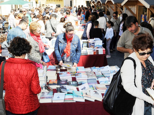 (Fotos) Días de libros y rosas