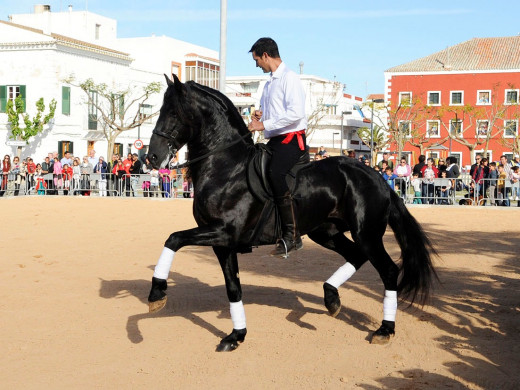 Los caballos toman el protagonismo en la Feria de Abril