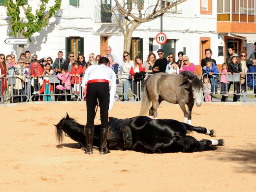 Los caballos toman el protagonismo en la Feria de Abril