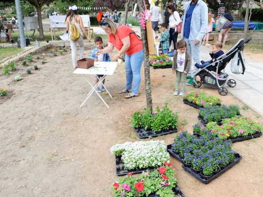 (Fotos) Maó y Sant Lluís viven su fiesta floral