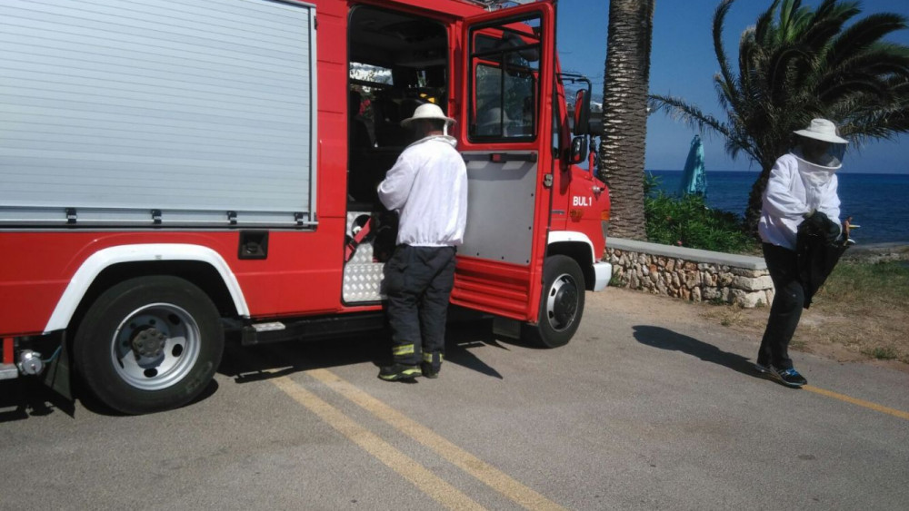 Bomberos antiavispas.