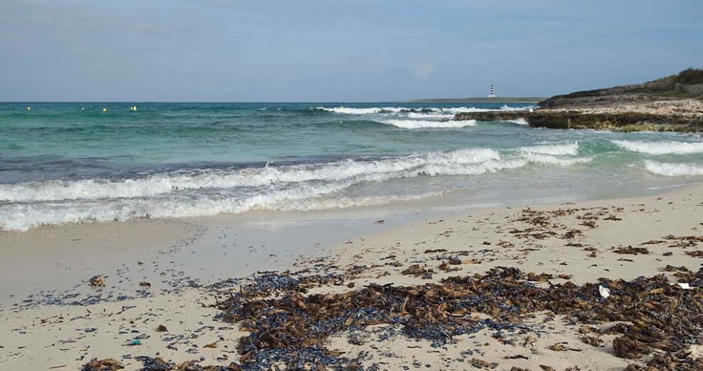 Imagen de la playa de Punta Prima