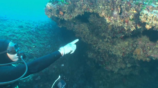 Calleja, en aguas de la Isla