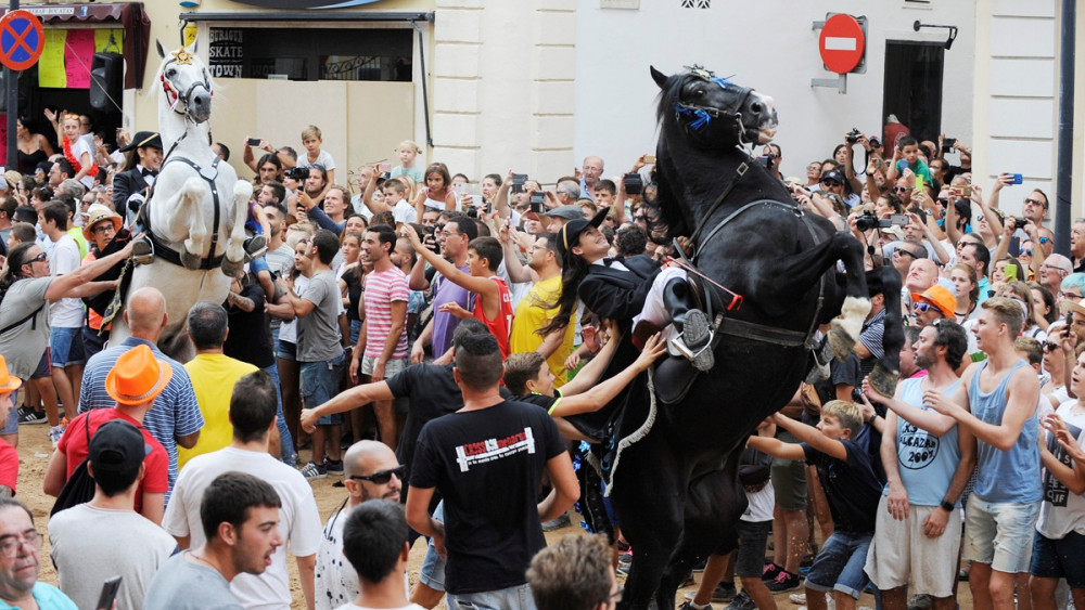 Los animalistas piden que se eliminen los jaleos en las fiestas.