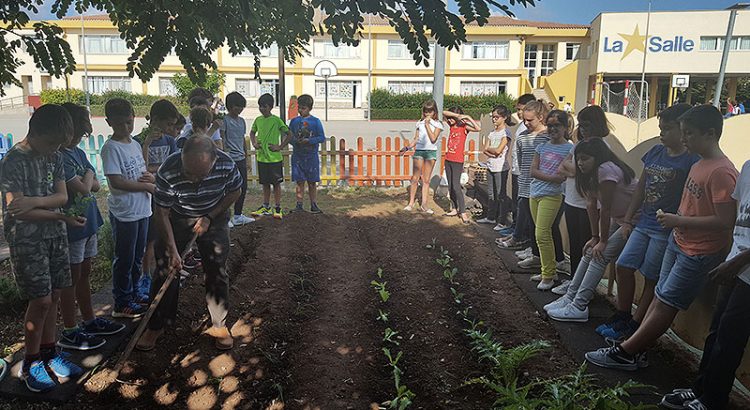 Imagen de un momento de la actividad (Fotos: La Salle Alaior)