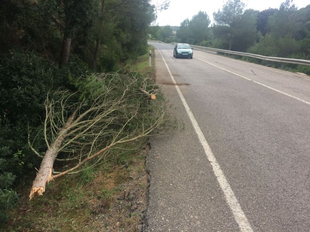 Imagen del lugar en el que se ha producido el accidente (Foto: Tolo Mercadal)