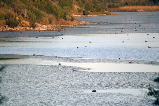 Albufera des Grau.