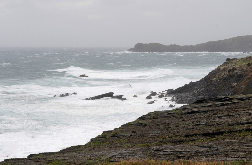 Amaina el viento