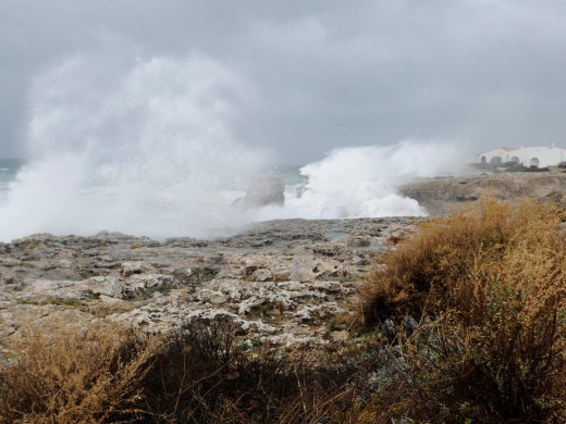 (Fotos) Las postales del temporal