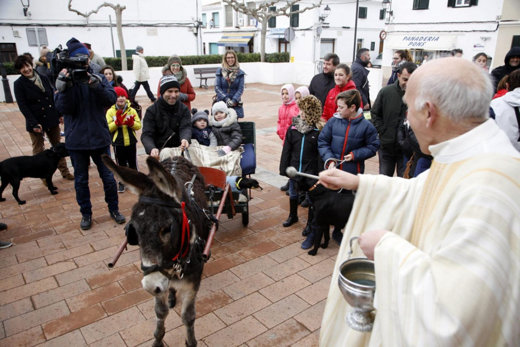 Sant Lluis se prepara para recibir Sant Antoni por todo lo alto.