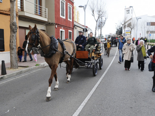 (Galería de fotos) El centro de Mahón y Sant Climent se llenan de animales por Sant Antoni