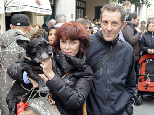 (Galería de fotos) El centro de Mahón y Sant Climent se llenan de animales por Sant Antoni