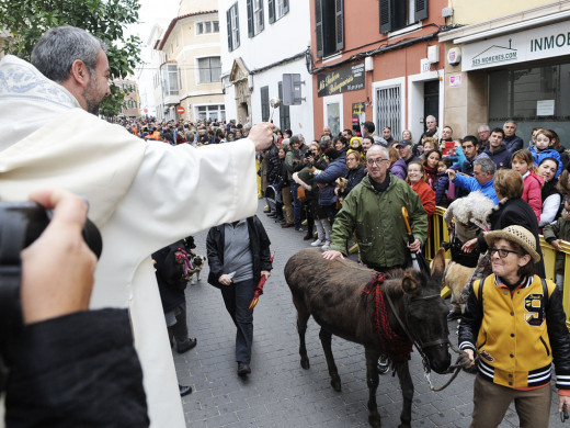 (Galería de fotos) El centro de Mahón y Sant Climent se llenan de animales por Sant Antoni