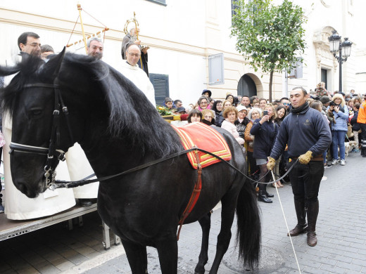 (Galería de fotos) El centro de Mahón y Sant Climent se llenan de animales por Sant Antoni