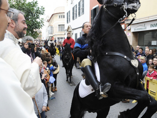 (Galería de fotos) El centro de Mahón y Sant Climent se llenan de animales por Sant Antoni