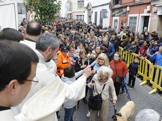 (Galería de fotos) El centro de Mahón y Sant Climent se llenan de animales por Sant Antoni