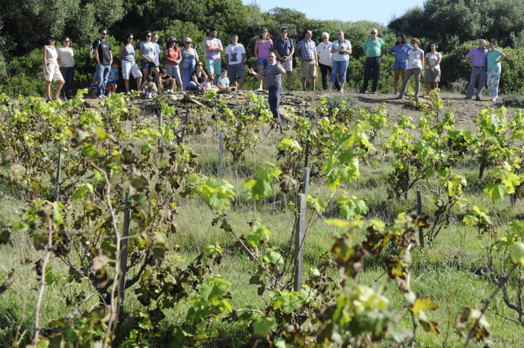 Visita a la bodega Sa Cudia de s'Albufera des Grau (Foto: Tolo Mercadal)