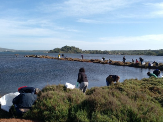 (Fotos) 70 menorquines se enfrentan a la ‘epidemia de los plásticos’  en Fornells