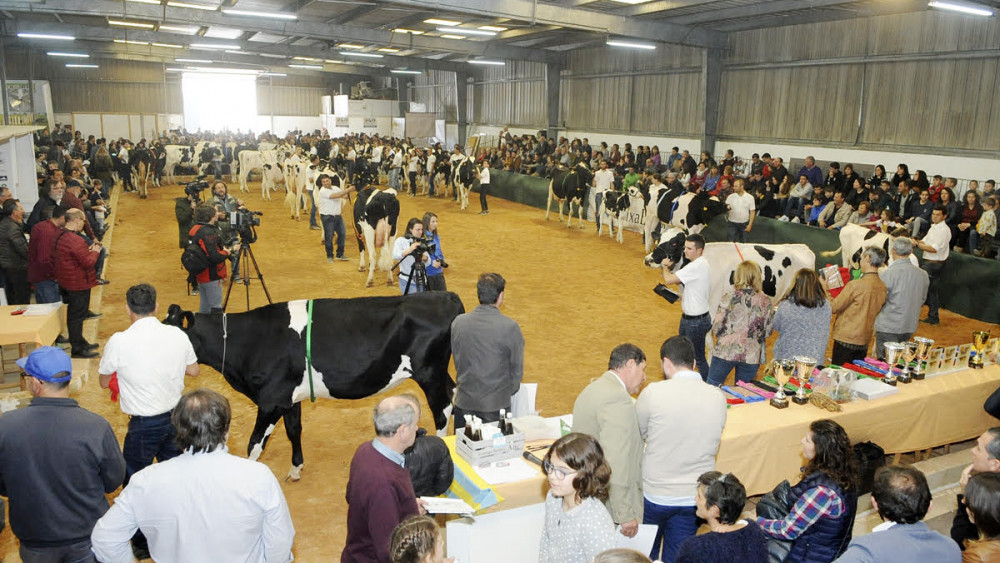 Gran ambiente en la última jornada de la feria (Fotos: Tolo Mercadal)