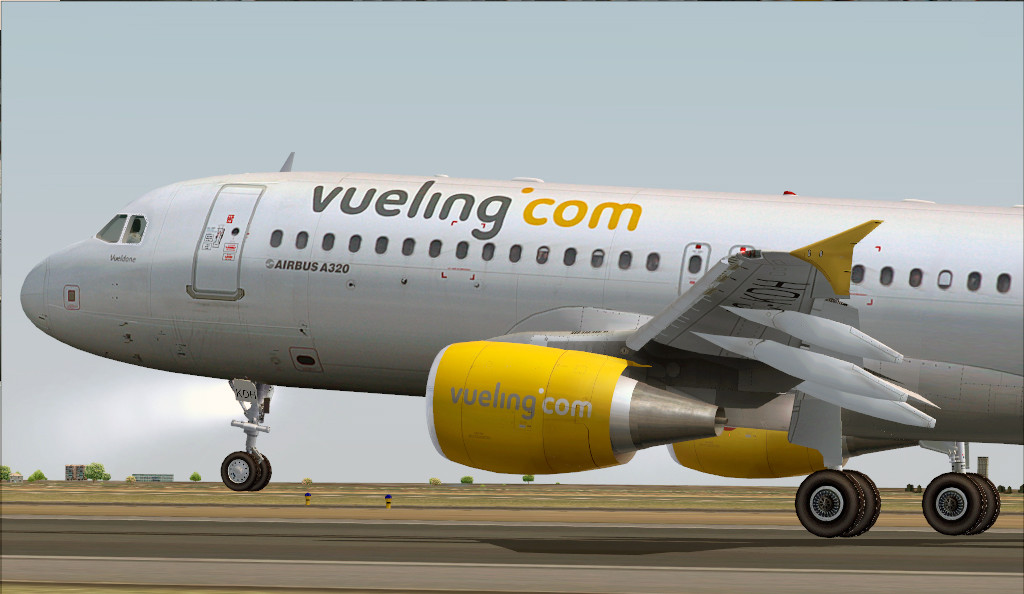 Avión de Vueling.