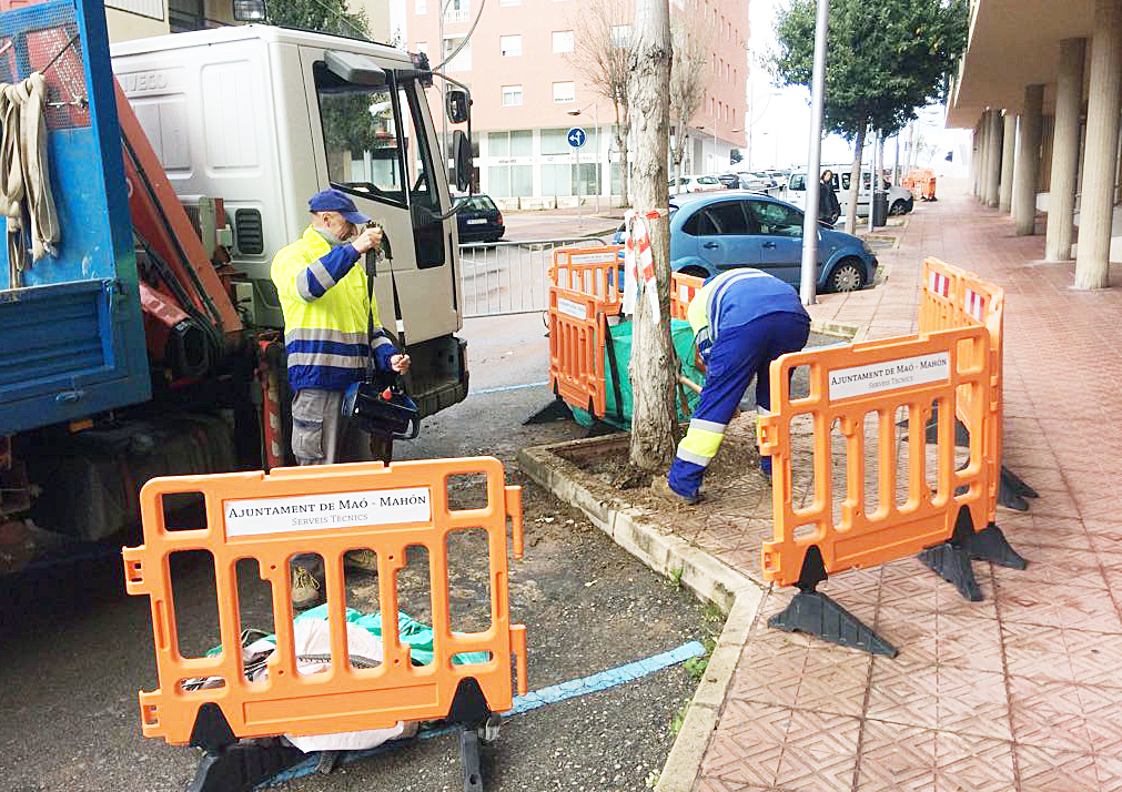 Operarios retirando los árboles (Foto: Tolo Mercadal)