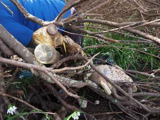 (Galería de fotos) Retiran kilos de basura del litoral de Sant Lluís y Es Mercadal