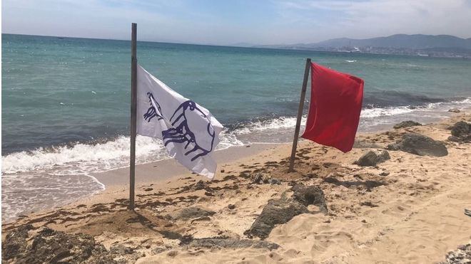 Banderas en una de las playas clausuradas (Foto: mallorcadiario.com)