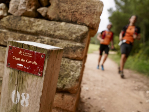 232 valientes ya corren los 185 Km de la Trail Menorca Camí de Cavalls