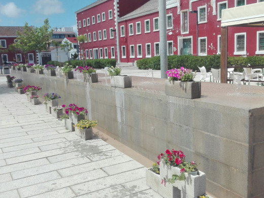 Es Castell también se viste de  flores