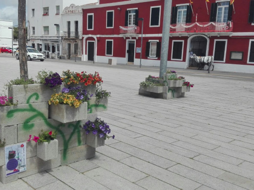 Es Castell también se viste de  flores